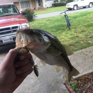 Meet your Posher, Devin